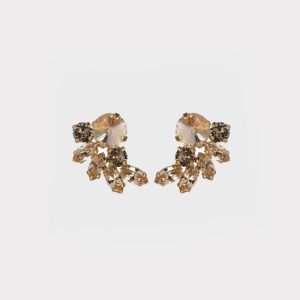 Earrings new