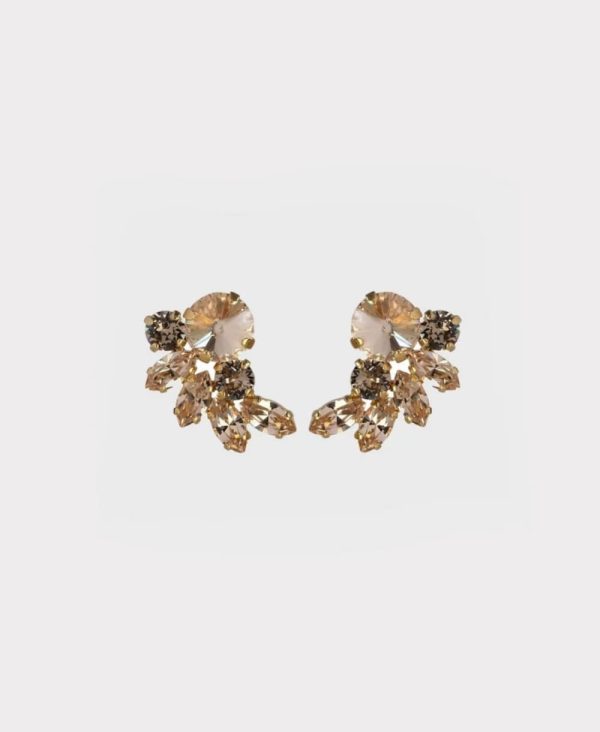 Earrings new